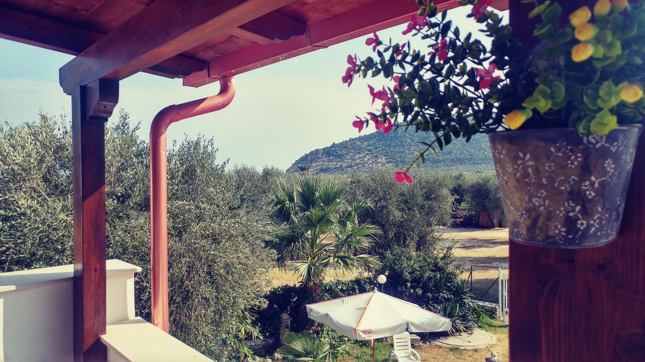 Villa Frantoio มัตตีนาตา ภายนอก รูปภาพ